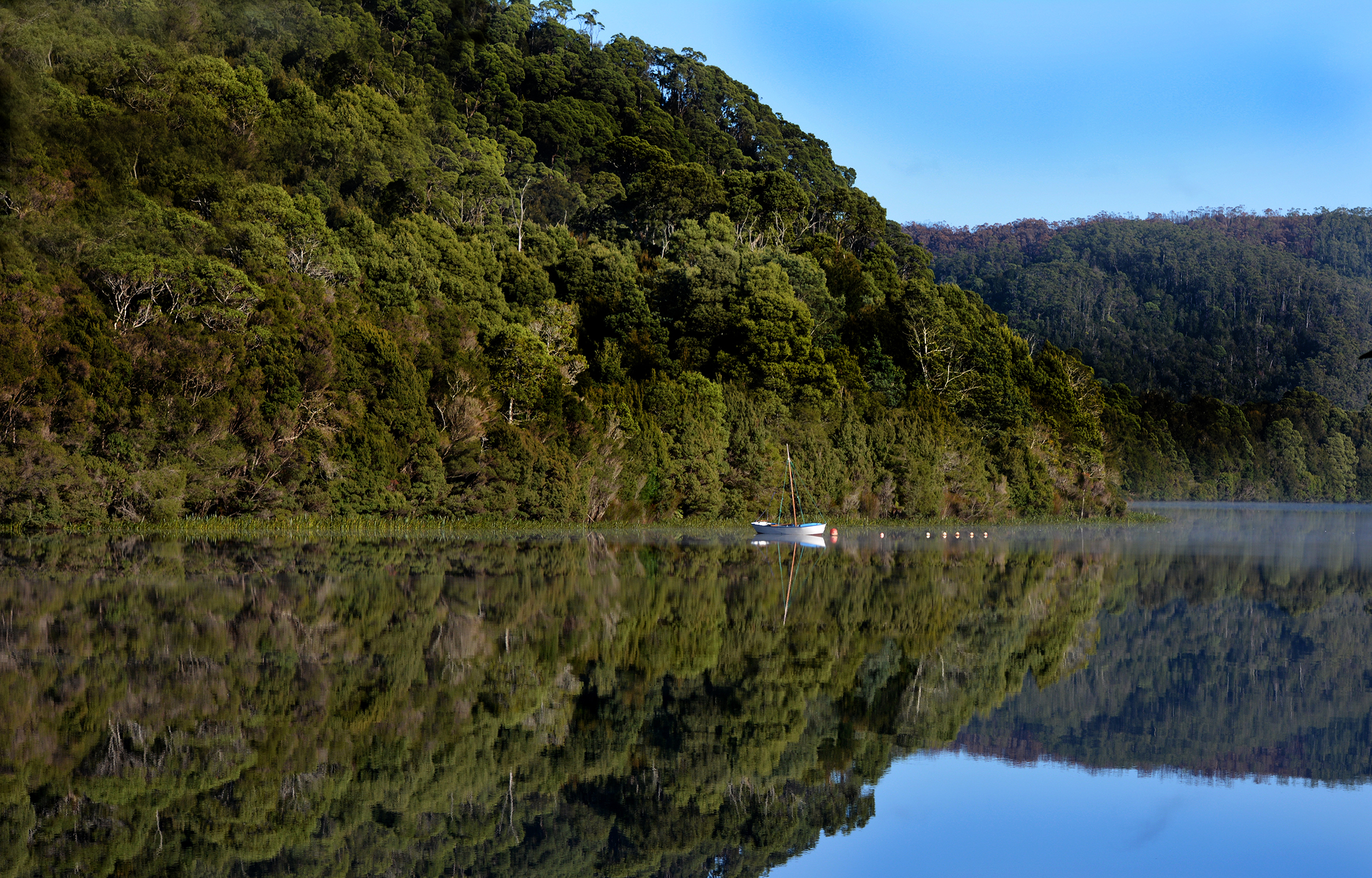 Reflections on the Pieman River, Corinna